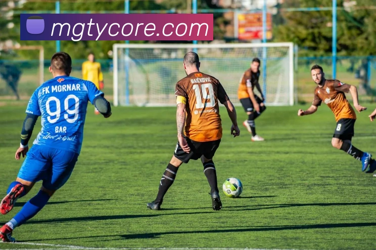 芒果体育平台生态图