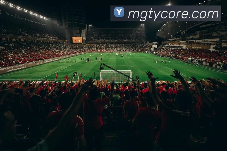 芒果体育APP 封面图